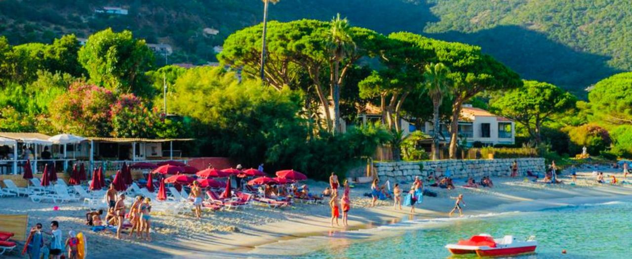 Apartmán Mazet « Domaine De La Pinede » Le Lavandou Exteriér fotografie